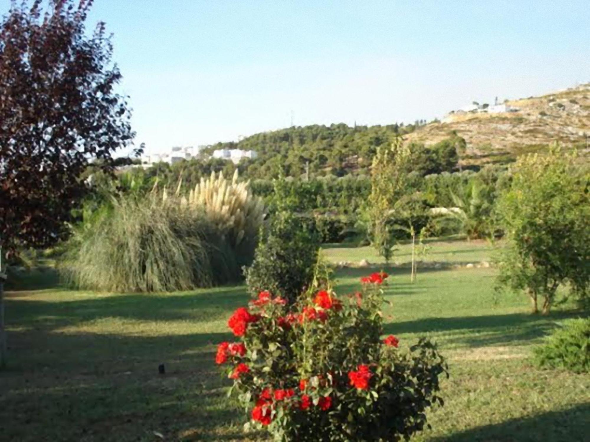 La Piana Di Calena Villa Peschici Exterior photo